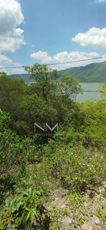 VENTA HECTAREAS CON ACCESO AL ESPEJO DE AGUA - DIQUE CABRA CORRAL - SALTA