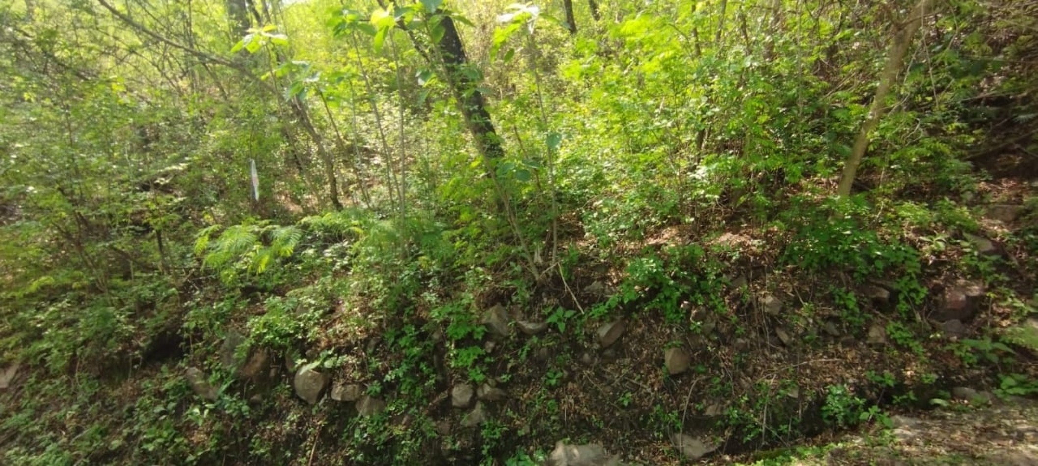 TERRENO EN VALLE HERMOSO- LA CALDERILLA 